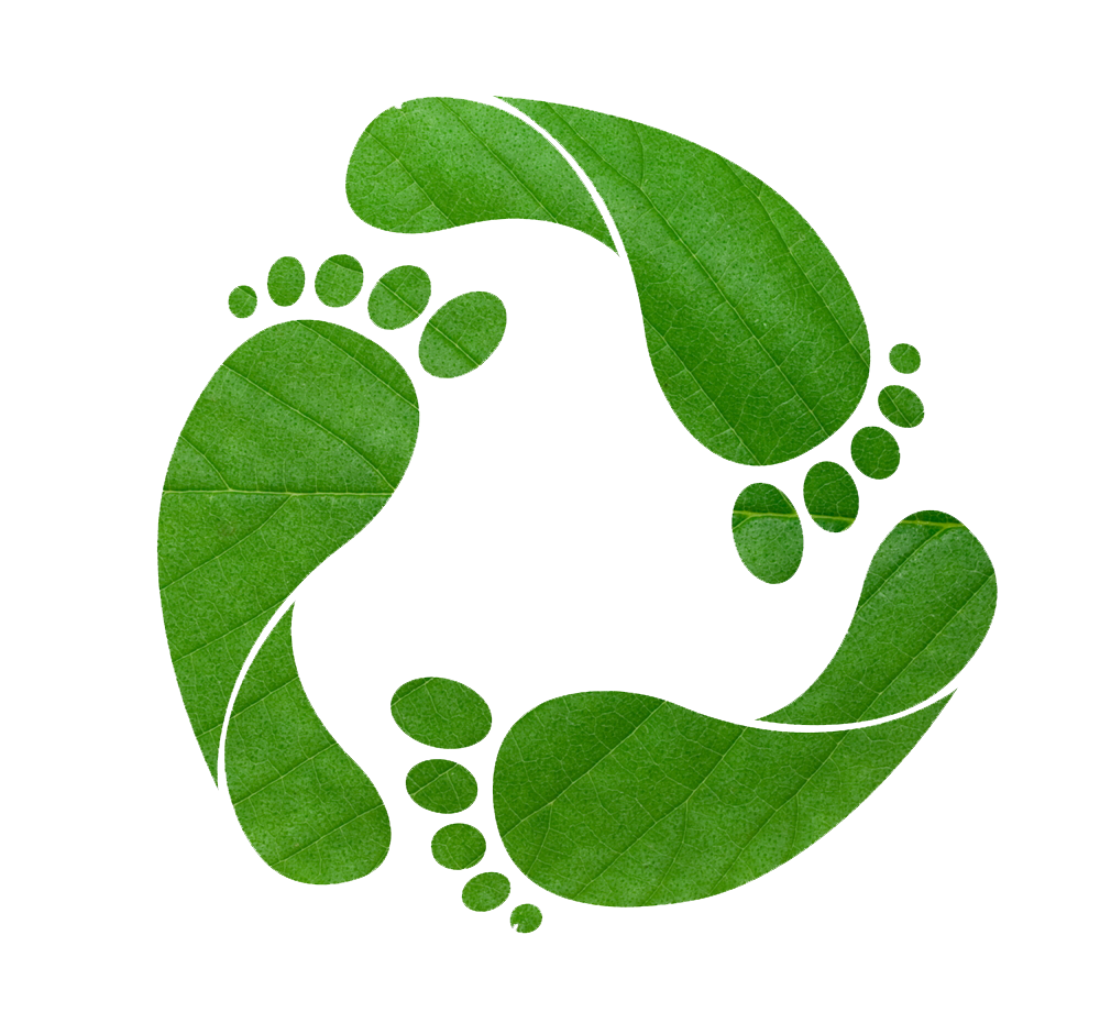 green-footprint-shutterstock11
